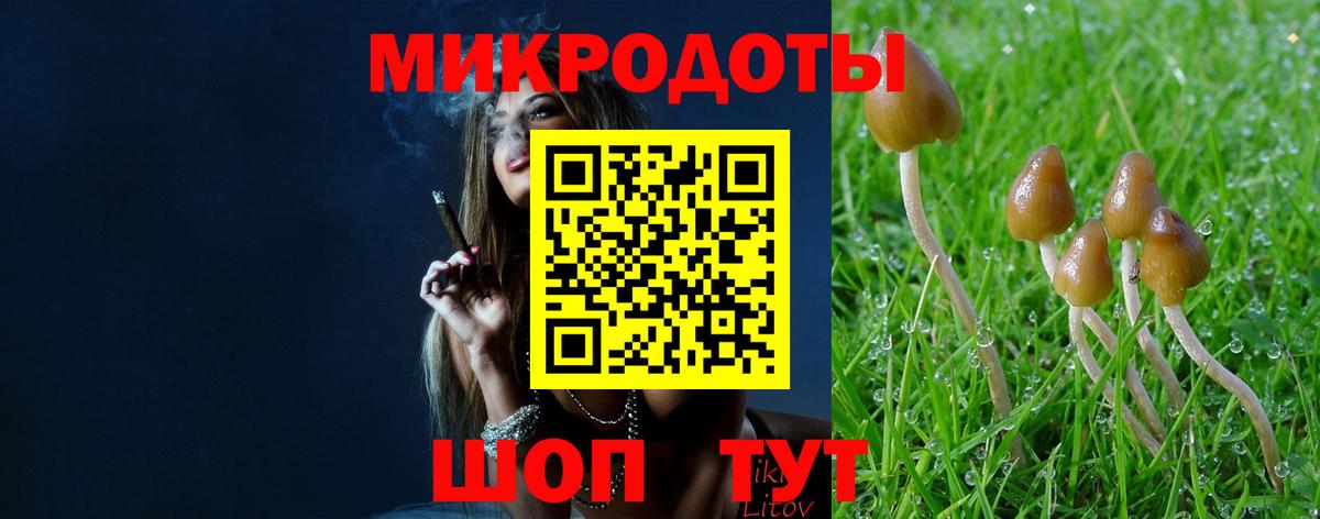 купить наркоту  Псилоцибиновые грибы Magic Shrooms  Вход с VPN  Аша 